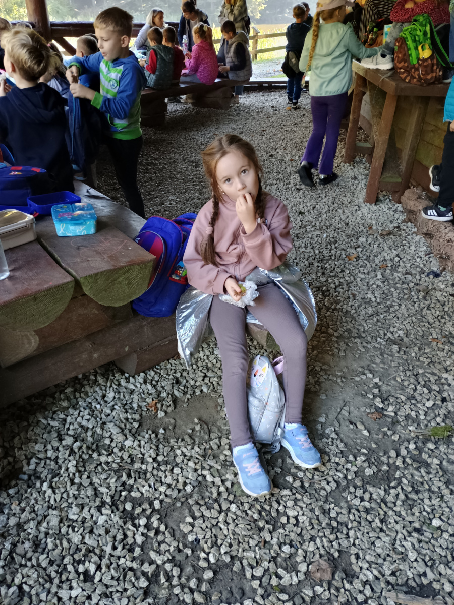 IMG_20260929_103230277_HDR
